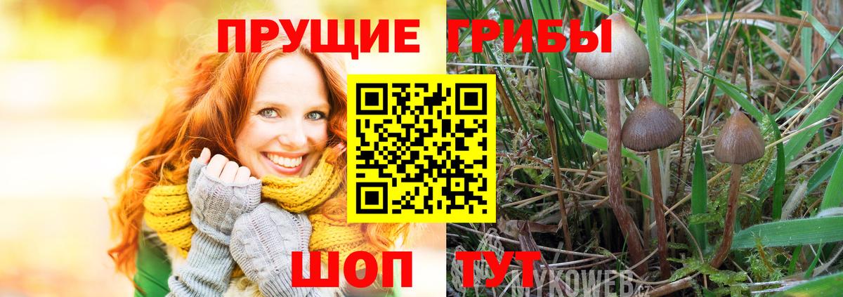 Галлюциногенные грибы ЛСД  Вход с VPN  Абинск 